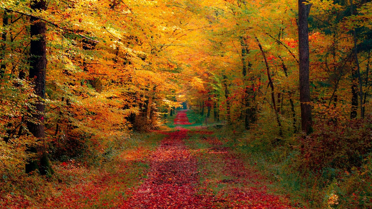 03…….08…….248