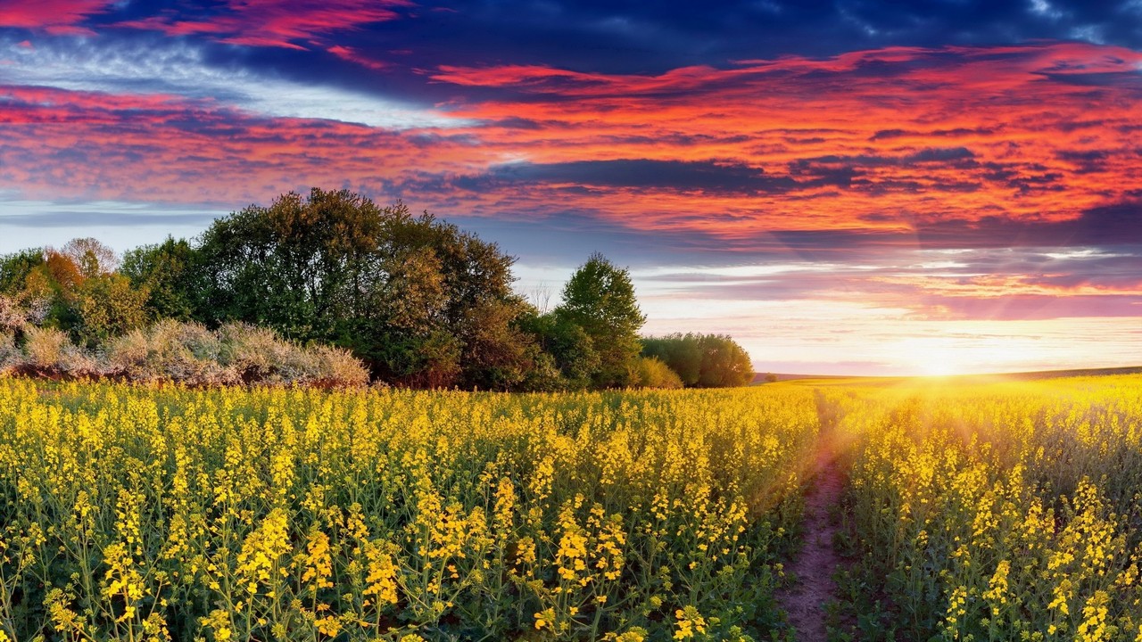 03……..09…..249