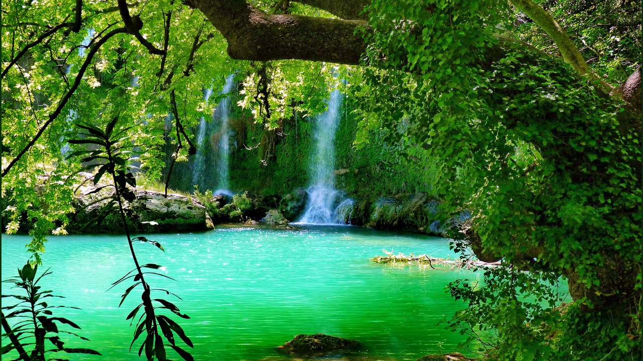 11…….09…….248