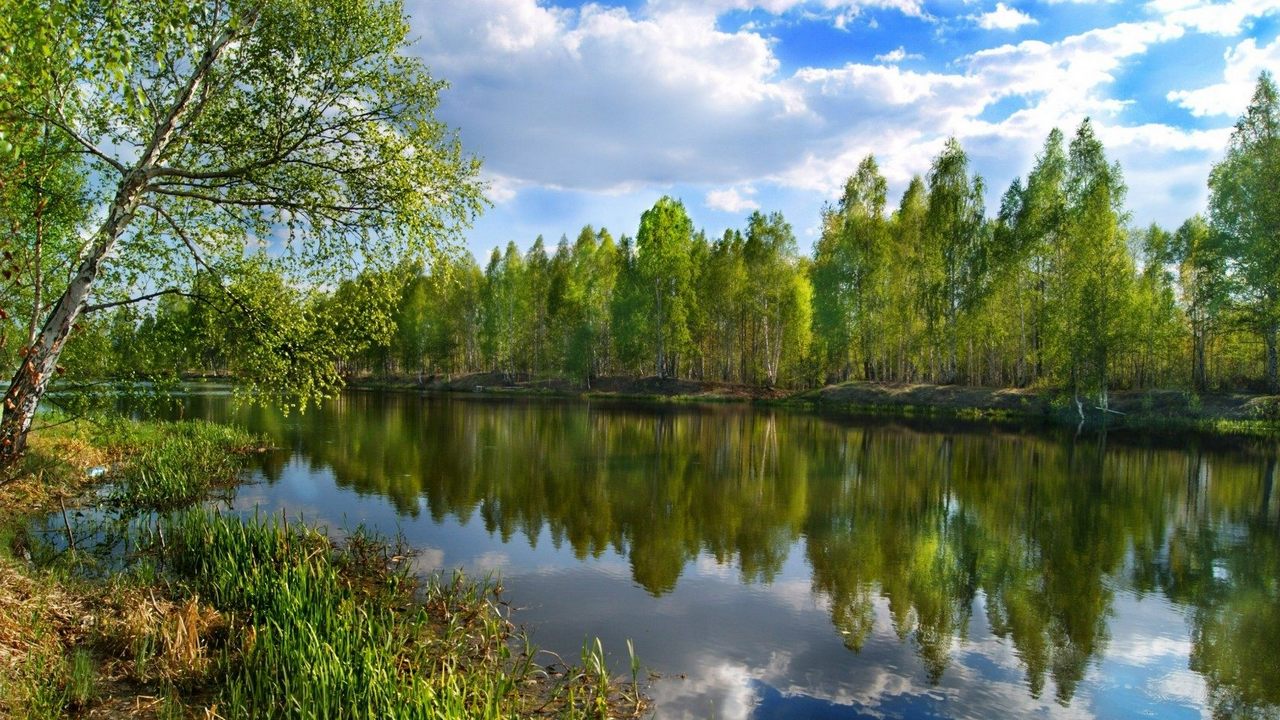 Ведь Свеже Снежные