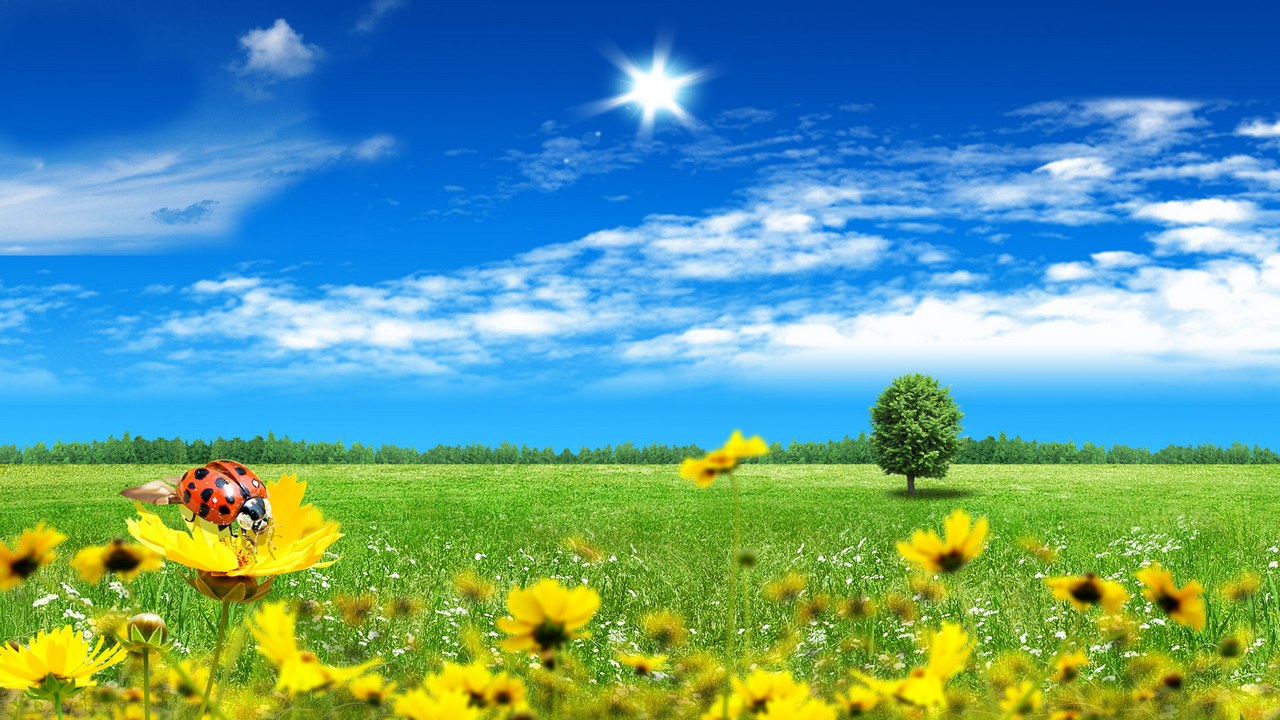 24…….09……248