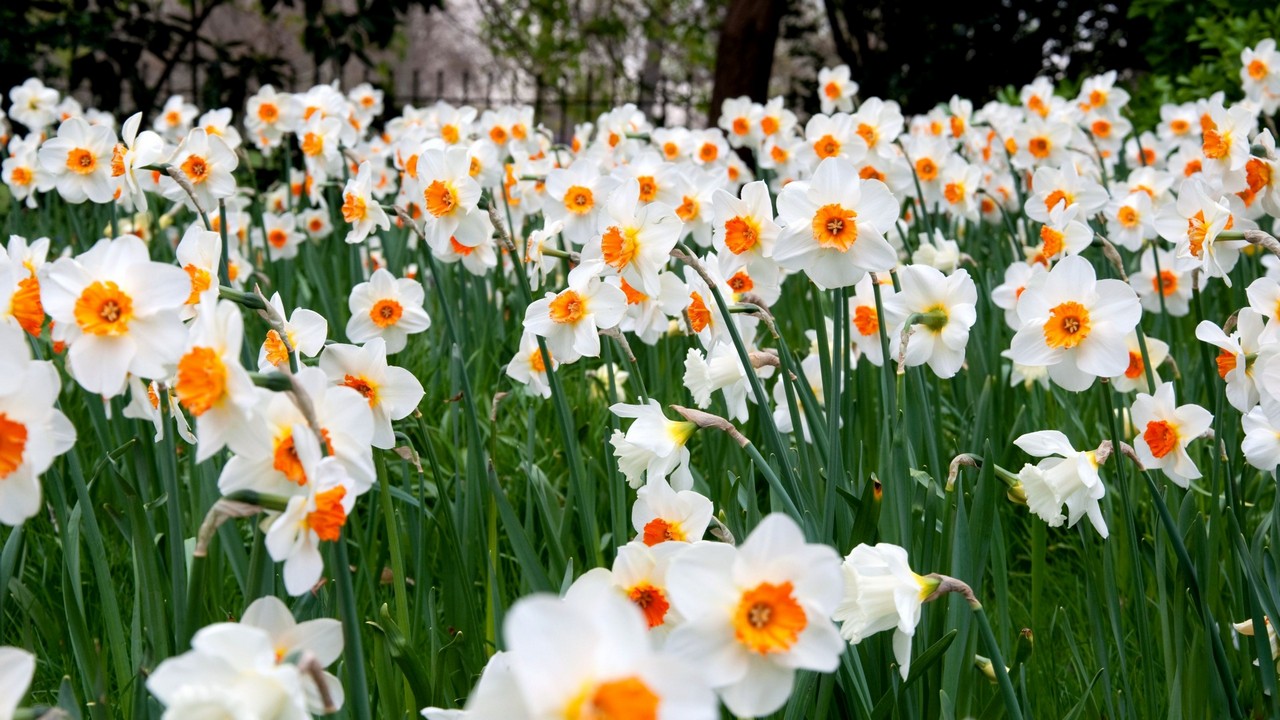 14………10……2410