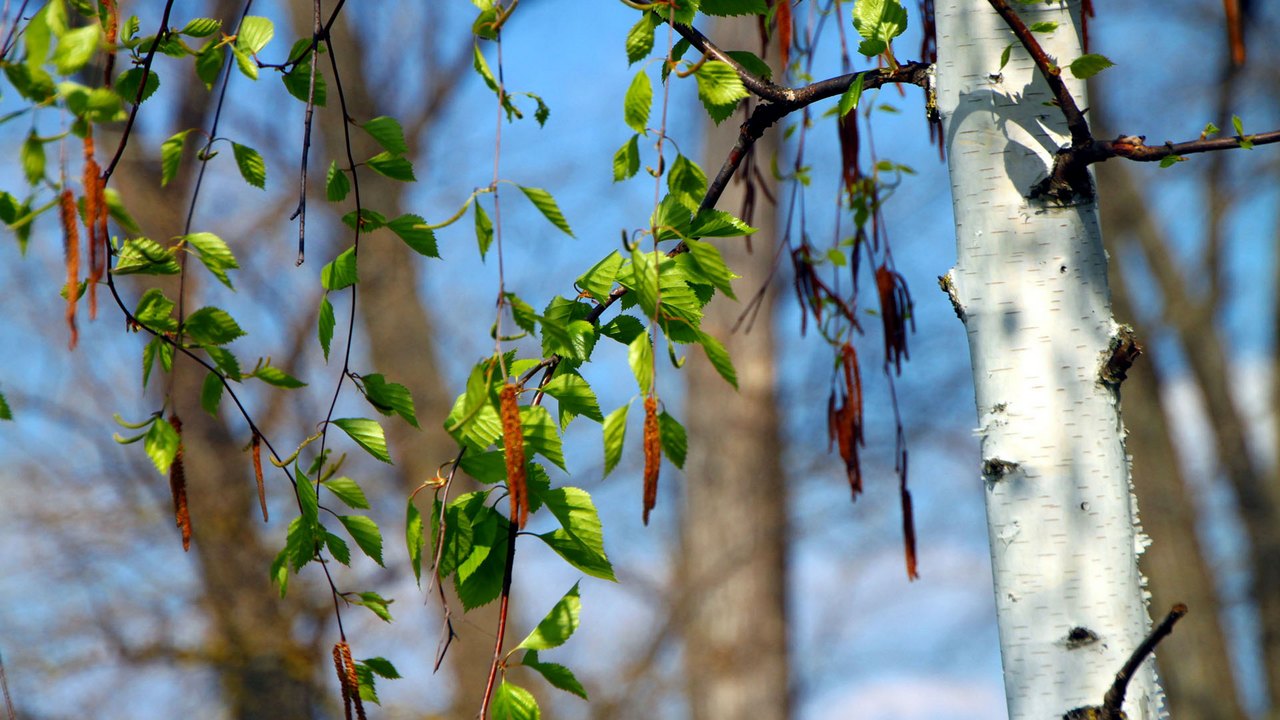 01…..11…..246 01.02.212