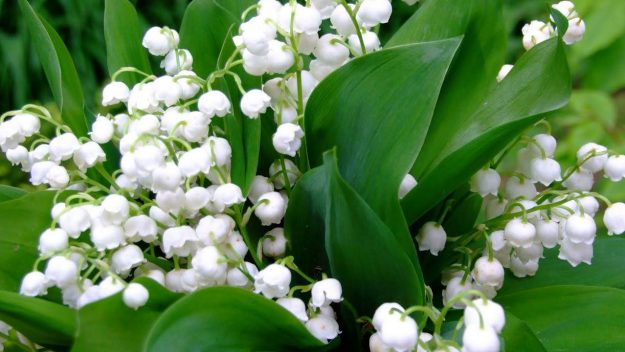 13…….11…….248