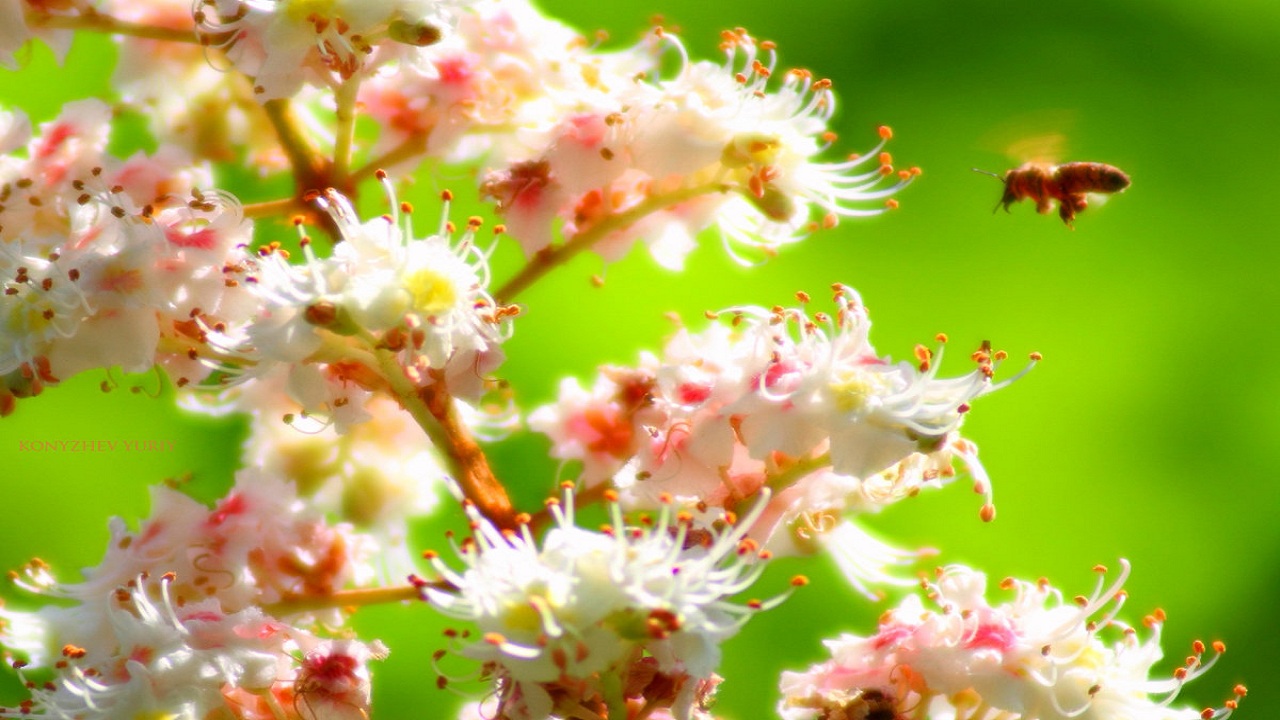 06……..12…..249