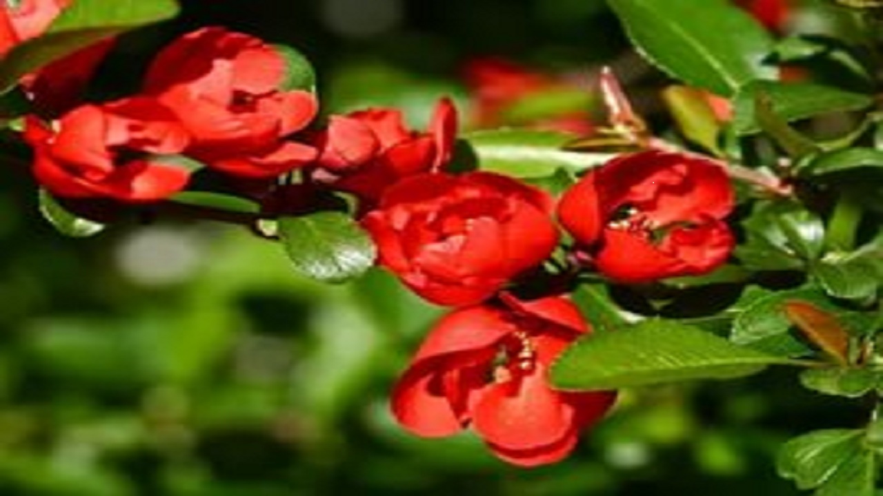 09…….12…….248