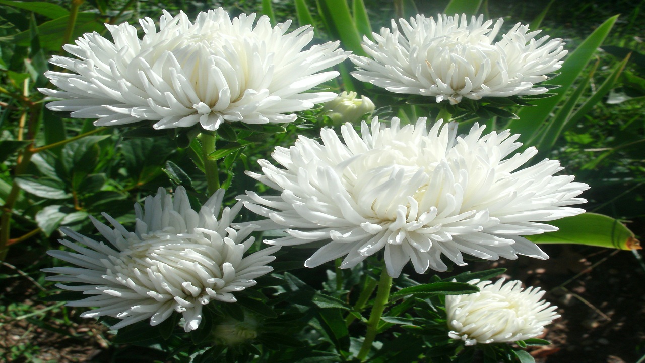 03………12……2410