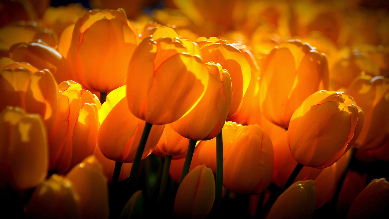 28…….12……248