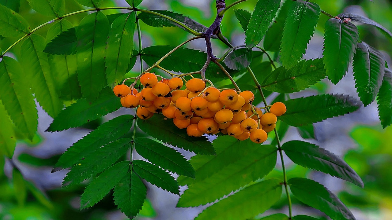 17…….12…….248