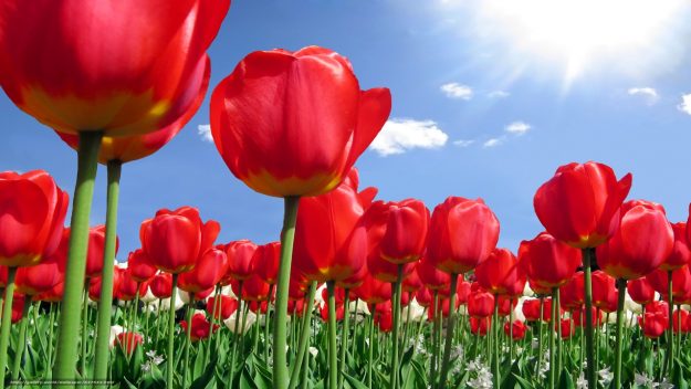 30…….12……248