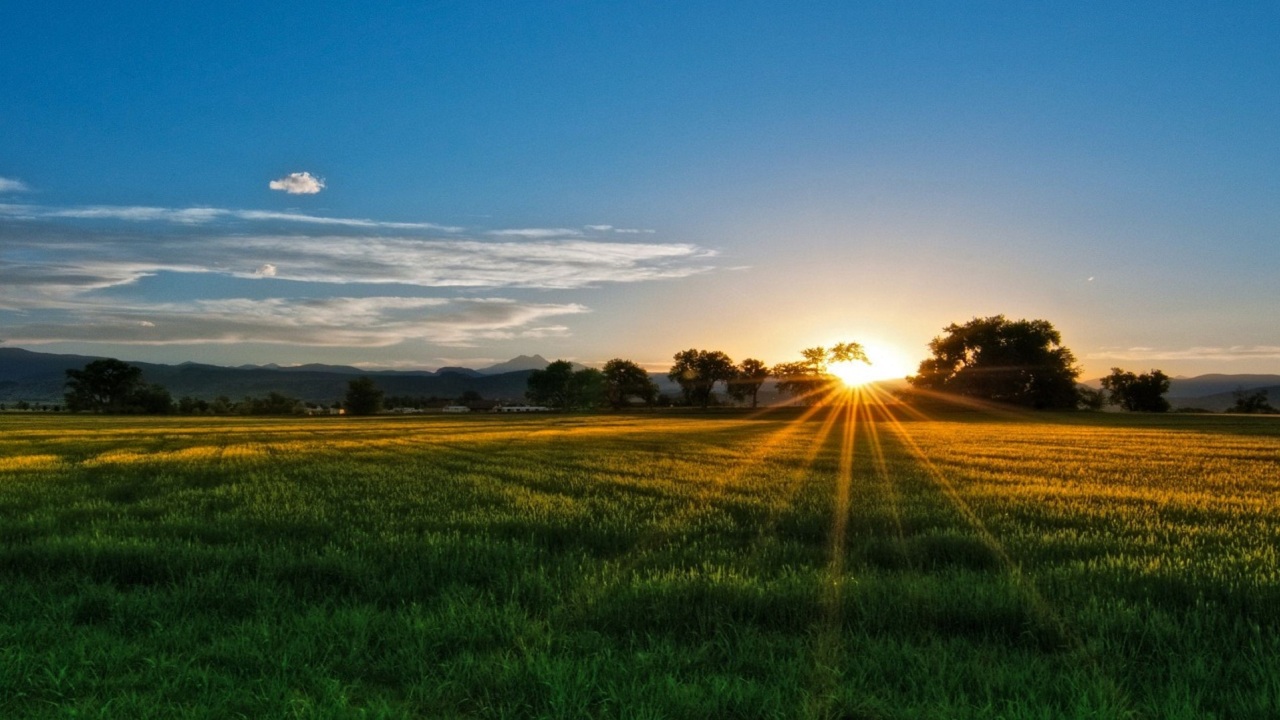 16…….02……258