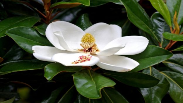 29……..04……..259