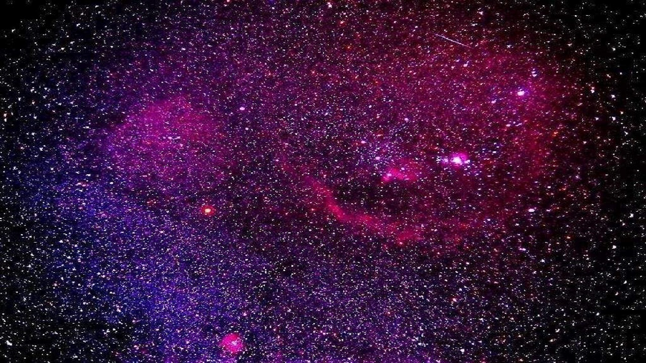2005231