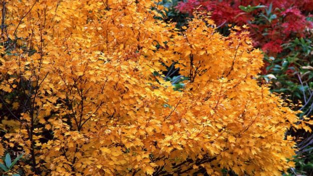 01…….04…….258