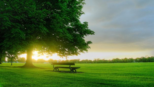 11………06……2510