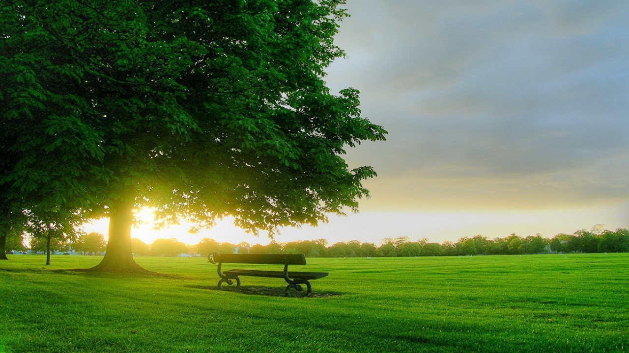 11………06……2510