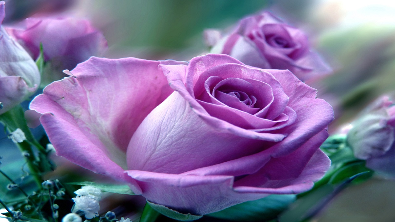 21……..09…..259