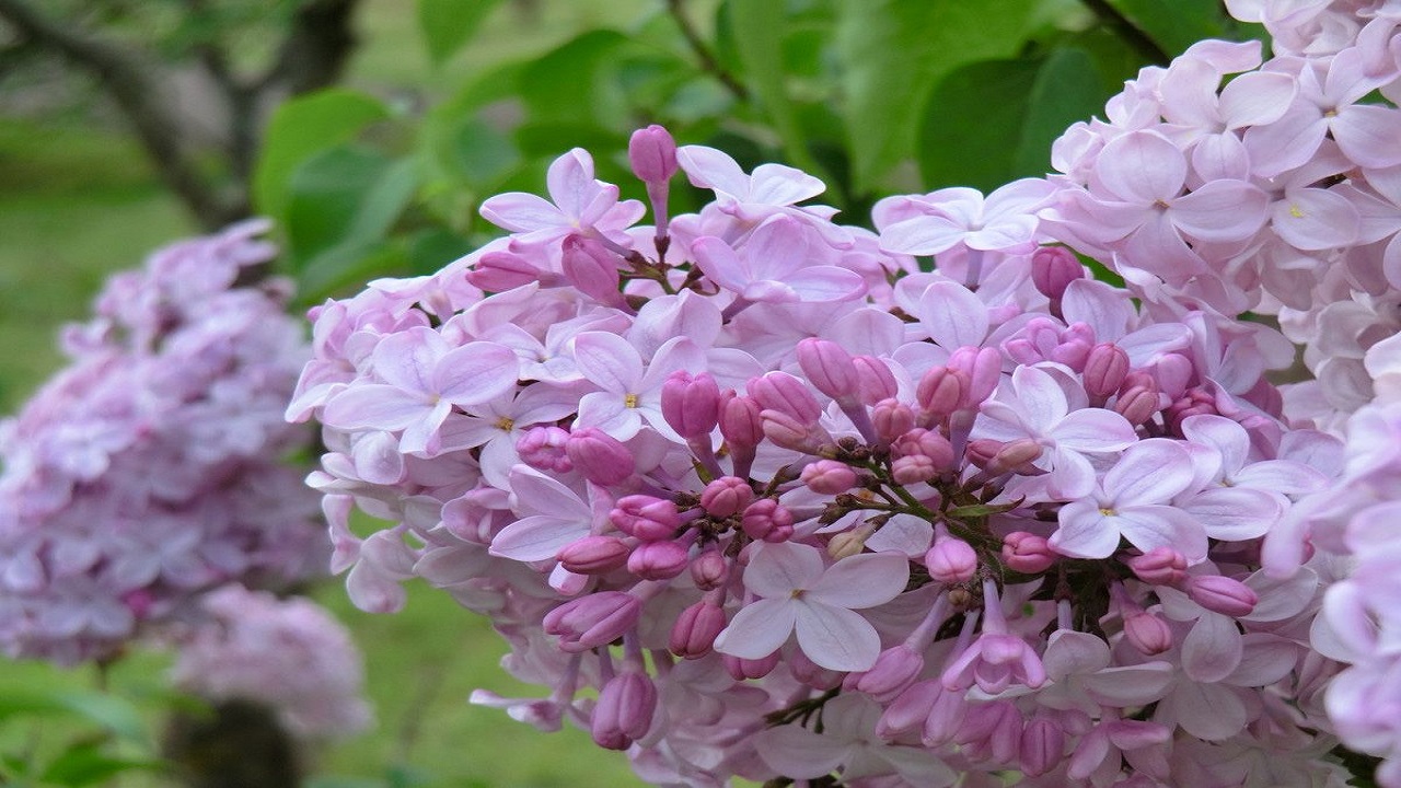 02………12….2323