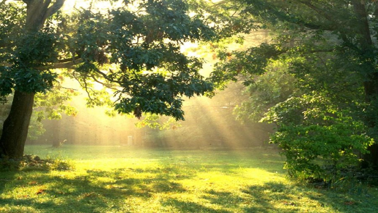 06……..01…….249