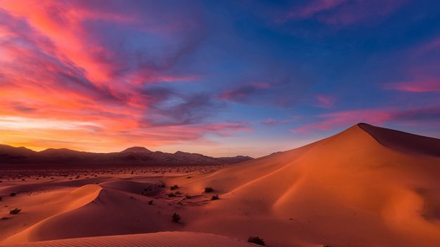 20……….01……..2411