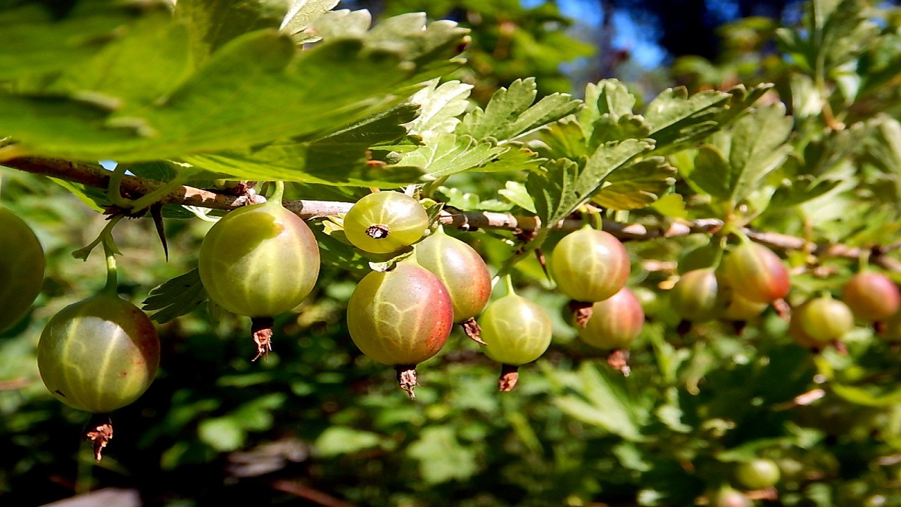 22……..03…..249