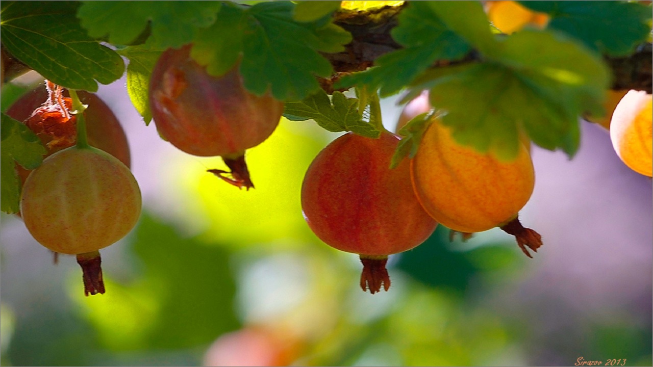 22………03……2410