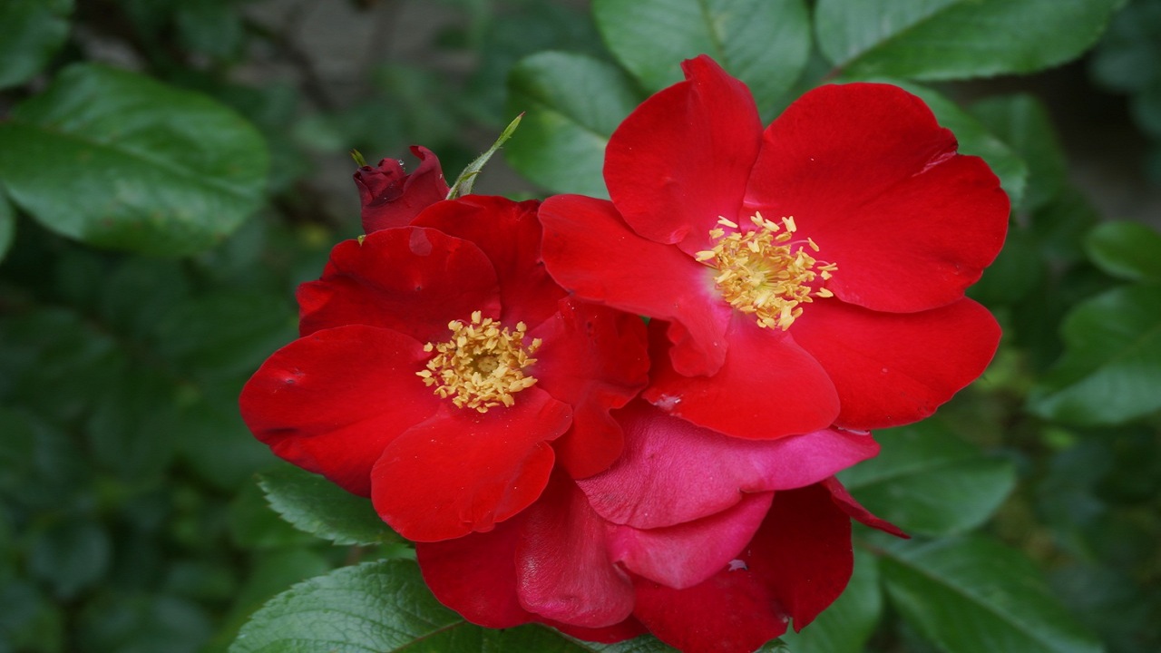 02……..04…..249