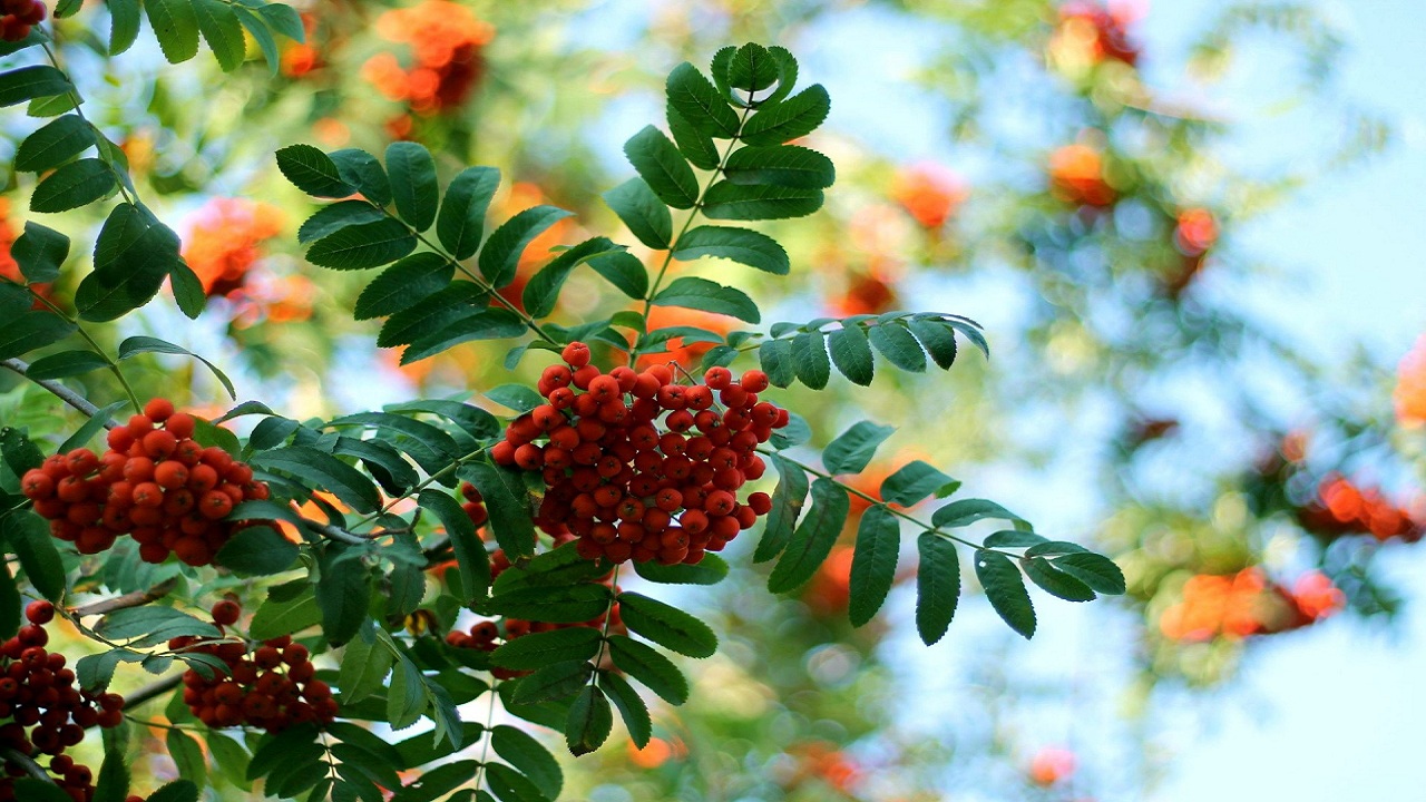 19……..04……..249