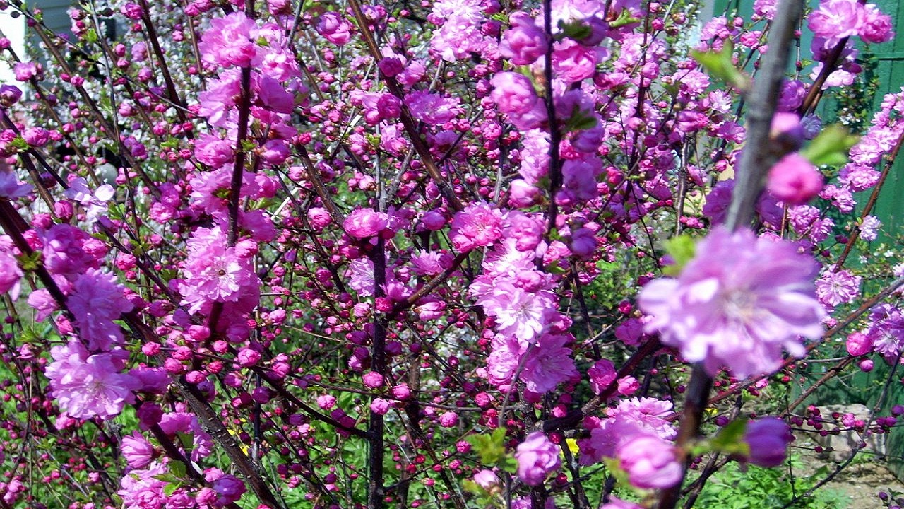 02…….05……248