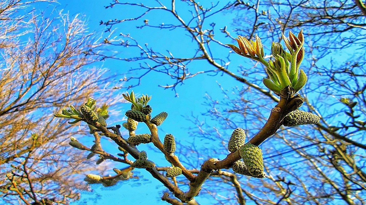 05……..05…..249