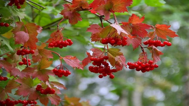 30……..05…..249