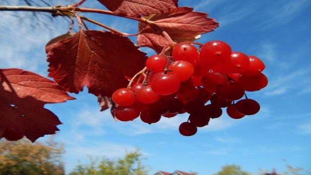 30………05…….2410