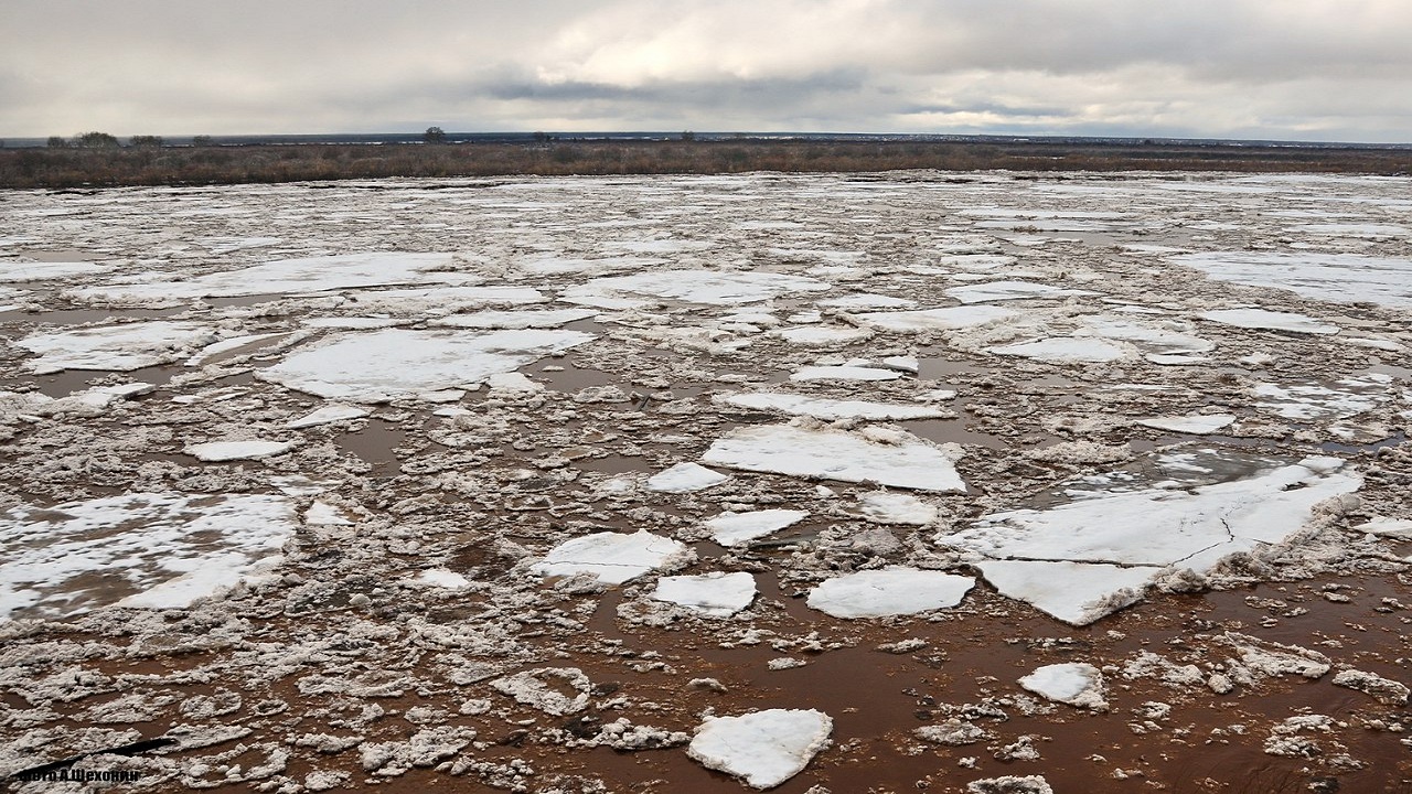 20……..06…..249