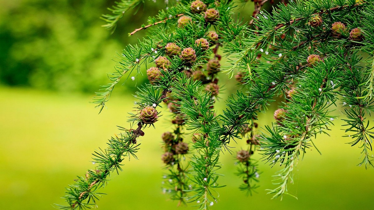 09……..7……249